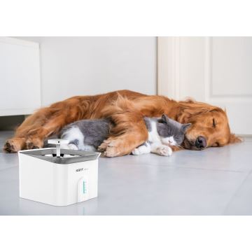 Fontana d'acqua smart per animali domestici 3,5l 230V WiFi