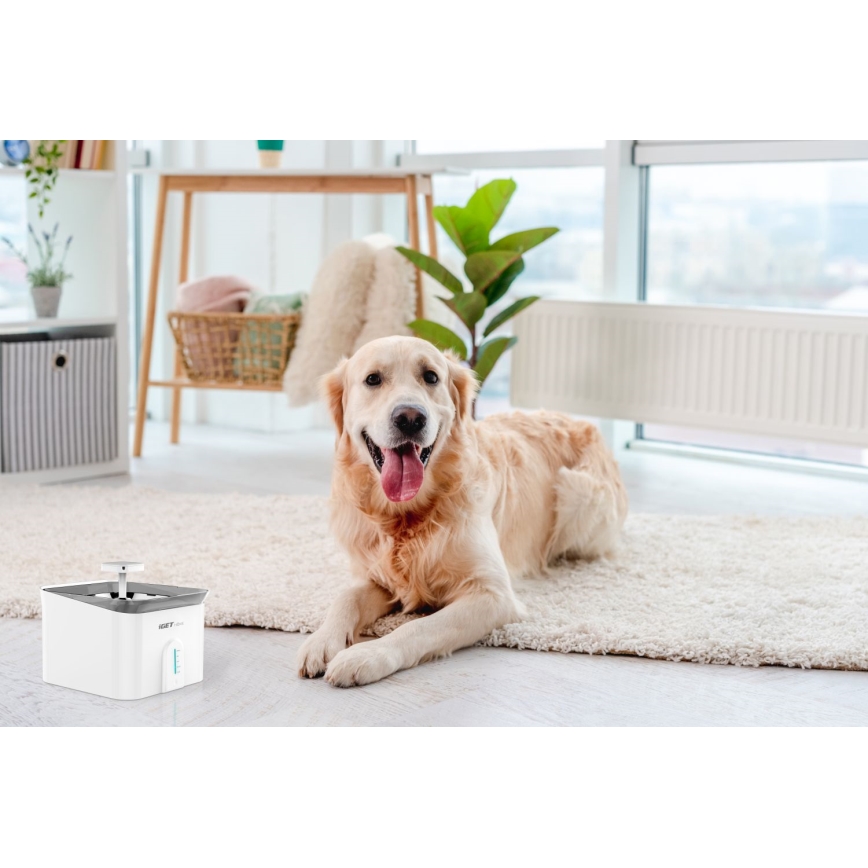 Fontana d'acqua smart per animali domestici 3,5l 230V WiFi