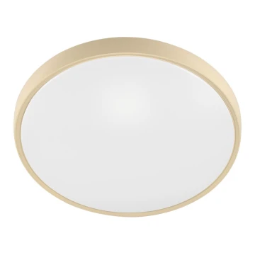 Fulgur 27480 - Cornice con diffusore per lampada VERA 420 GOLD