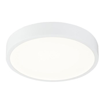 Globo 12364-22 - Plafoniera LED dimmerabile per bagni ARCHIMEDES LED/22W/230V IP44