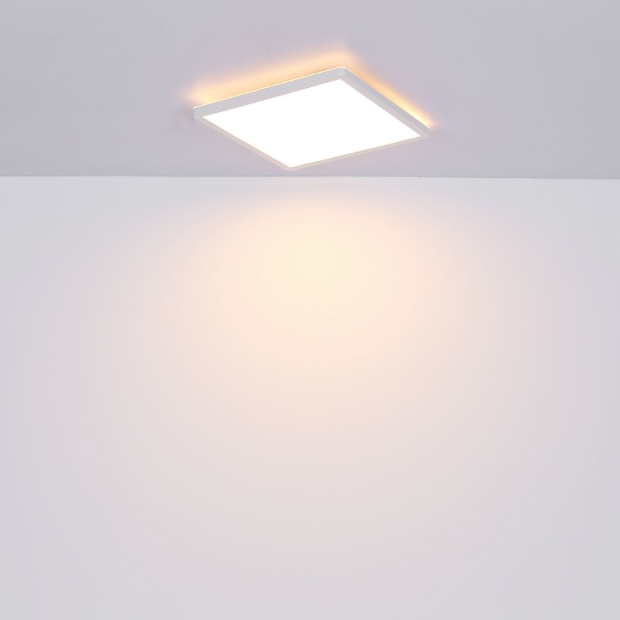 Globo - Plafoniera LED dimmerabile da bagno LED/24W/230V 42x42 cm IP44 bianco