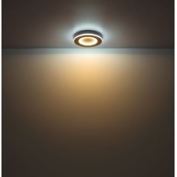 Globo - Plafoniera LED LED/23W/230V