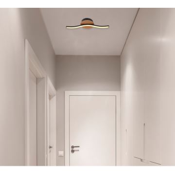 Globo - Plafoniera LED LED/6W/230V