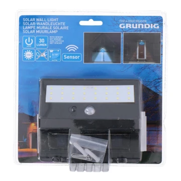 Grundig - Lampada solare LED con sensore 1xLED/0,25W/1xAA