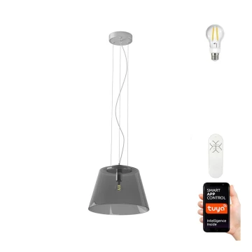 Immax NEO 07054L - LED RGBW Lampadario dimmerabile a sospensione con filo CONO 1xE27/8,5W/230V 32 cm Tuya + telecomando