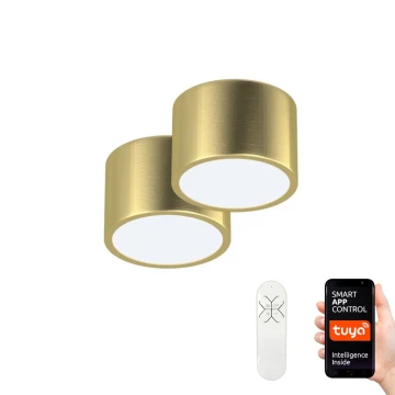 Immax Neo 07127L-BD - Set 2x Plafoniera LED dimmerabile RONDATE oro 2xLED/12W/230V + telecomando Tuya