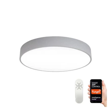 Immax NEO 07143-GR60 - Luce LED dimmerabile RONDATE LED/50W/230V Tuya grigia + TC