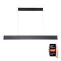 Immax NEO 07157-B120X - LED RGB+CCT Lampadario dimmerabile a sospensione con filo MILANO LED/40W/230V Tuya nero