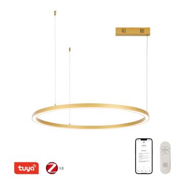 Immax NEO 07217L - Lampadario a sospensione con filo LED dimmerabile FINO LED/60W/230V 80 cm oro Tuya + telecomando