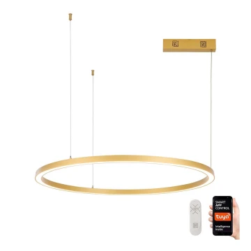 Immax NEO 07217L - Lampadario a sospensione con filo LED dimmerabile FINO LED/60W/230V 80 cm oro Tuya + telecomando