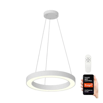 Immax NEO - Lampadario LED dimmerabile a sospensione con filo PASTEL LED/52W/230V 60 cm bianco Tuya