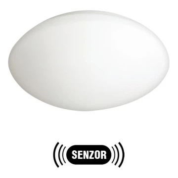 Lampada da esterno con sensore PETRA 1xE27/60W/230V vetro opale IP44