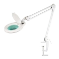 Lampada da tavolo a LED con lente d