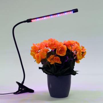 Lampada LED dimmerabile con clip per l'illuminazione delle piante LED/3W/230V nero