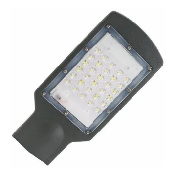 Lampada stradale LED LED/30W/170-400V IP67