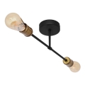 Lampadario a plafone CAMBRIDGE 2xE27/60W/230V nero/oro