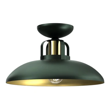 Lampadario a plafone  FELIX 1xE27/60W/230V verde