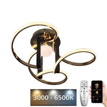 Lampadario a plafone LED dimmerabile LED/70W/230V 3000-6500K + telecomando