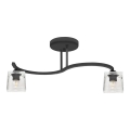 Lampadario a plafone SANTOS 2xE27/60W/230V nero/limpido