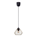 Lampadario a sospensione con filo CEED GOLD 1xE27/60W/230V diametro 17,5 cm nero/oro