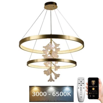 Lampadario a sospensione con filo LED dimmerabile LED/100W/230V 3000-6500K + telecomando