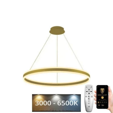 Lampadario a sospensione con filo LED dimmerabile LED/110W/230V 3000-6500K + telecomando
