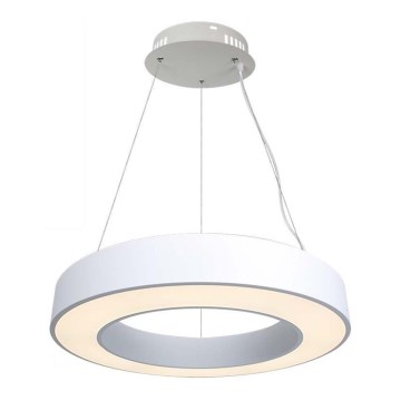 Lampadario a sospensione con filo LED dimmerabile LED/50W/230V 4000K diametro 60 cm bianco