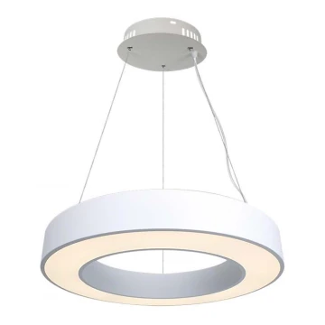 Lampadario a sospensione con filo LED dimmerabile LED/50W/230V 4000K diametro 60 cm bianco