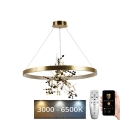 Lampadario a sospensione con filo LED dimmerabile LED/55W/230V 3000-6500K oro + telecomando