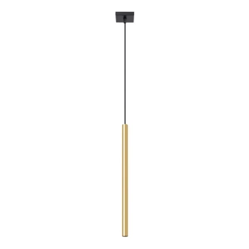 Lampadario a sospensione con filo PASTELO 1xG9/8W/230V oro