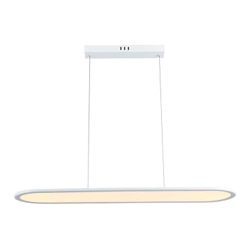 Lampadario LED a sospensione con filo LED/24W/230V 3000K bianco