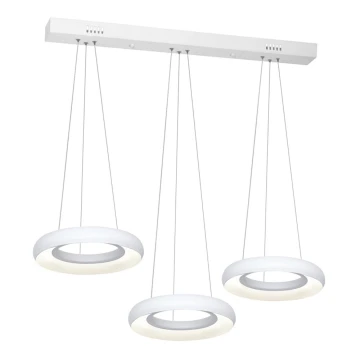 Lampadario LED a sospensione con filo RONDO 3xLED/12W/230V