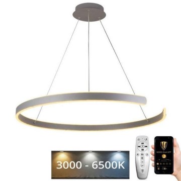 Lampadario LED Dimmerabile su cavo LED/100W/230V 3000-6500K + telecomando