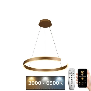 Lampadario LED Dimmerabile su cavo LED/70W/230V 3000-6500K + telecomando