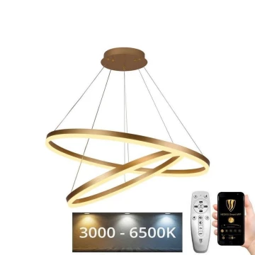 Lampadario LED Dimmerabile su filo LED/100W/230V 3000-6500K + telecomando