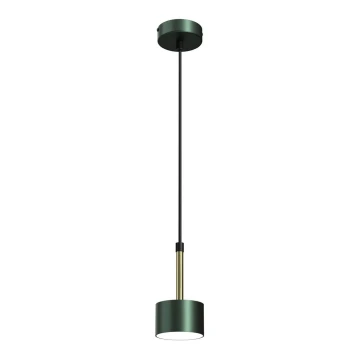 Lampadario su corda ARENA 1xGX53/11W/230V verde/oro