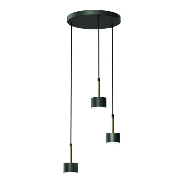 Lampadario su corda ARENA 3xGX53/11W/230V verde/oro