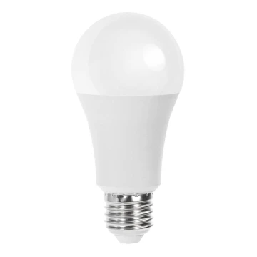 Lampadina LED A60 E27/21W/230V 4000K - Aigostar