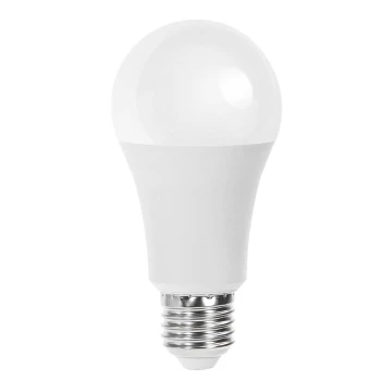 Lampadina LED A60 E27/21W/230V 6500K - Aigostar