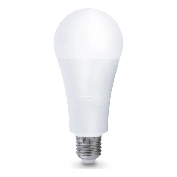 Lampadina LED E27/22W/230V 4000K