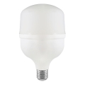 Lampadina LED T100 E27/30W/230V 6500K