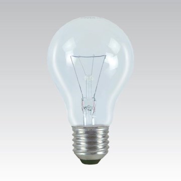 Lampadina speciale per uso intensivo E27/100W/24V