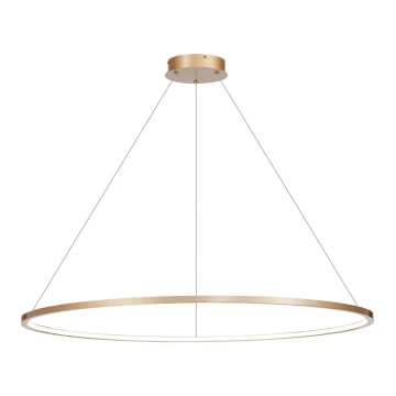 LED Bathroom lampadario on a string SATURNO LED/65W/230V IP44 oro