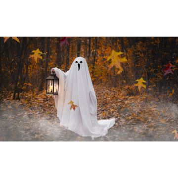 LED Decorazione HALLOWEEN LED/3xAAA/bianco caldo lanterna