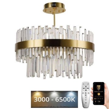 LED Dimmerabile cristallo lampadario on a pole LED/80W/230V 3000-6500K oro + telecomando