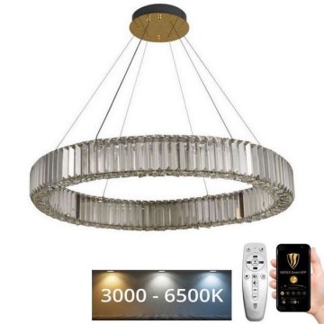 LED Dimmerabile cristallo lampadario su filo LED/50W/230V 3000-6500K cromo/oro + telecomando