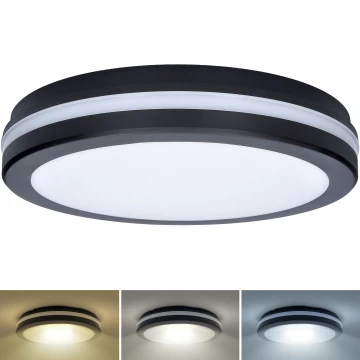 LED Dimmerabile per esterni soffitto chiaro LED/18W/22W/26W/230V 3000/4000/6500K IP65 nero