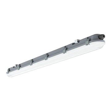 LED Lampada fluorescente per impieghi gravosi SERIE M LED/36W/230V 6400K 120cm IP65