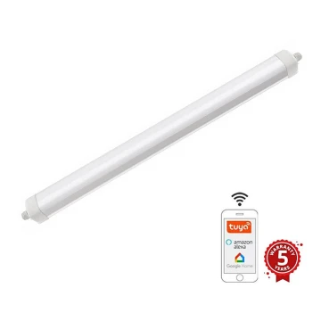 LED Luce dimmerabile per carichi pesanti LED/40W/230V 3000-6500K Wi-Fi Tuya IP65