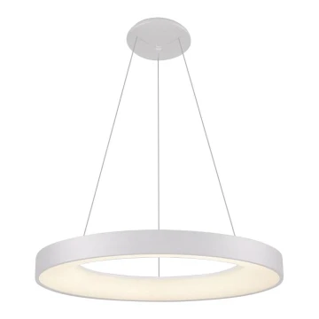 LED2 - Lampadario LED a sospensione con filo BELLA LED/50W/230V 3000K diametro 60 cm bianco